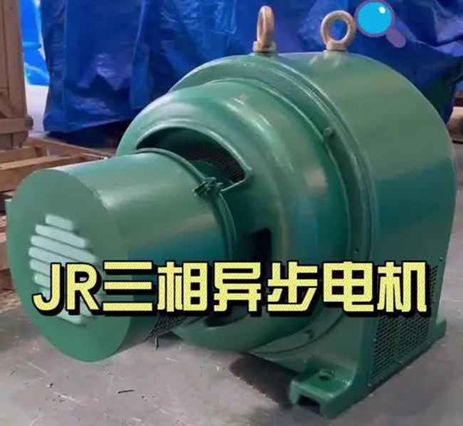 图为西安西玛JR系列三相异步电机照片 图为西安西玛JR系列三相异步电机照片