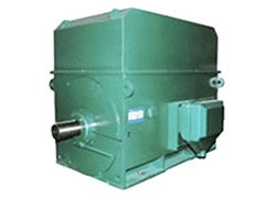 YTM/YHP/YMPS系列6KV磨煤机电机